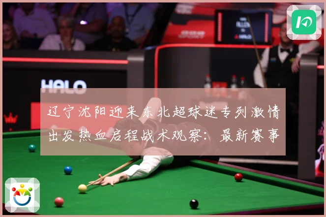 辽宁沈阳迎来东北超球迷专列激情出发热血启程战术观察：最新赛事动态与深度分析