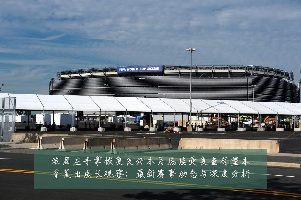 浓眉左手掌恢复良好本月底接受复查有望本季复出成长观察：最新赛事动态与深度分析